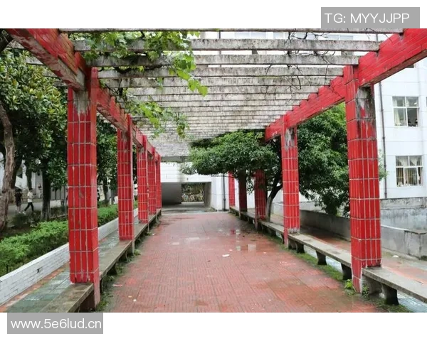 极限挑战与梦想追逐上海极限运动队的逆袭之路全景纪实