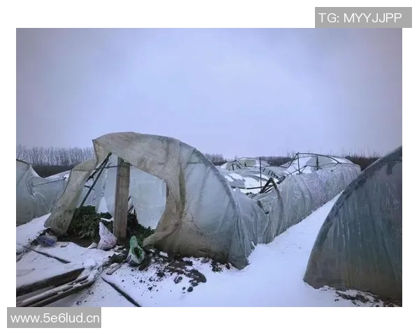 全球气候变化引发极端天气频发 各国加强合作应对环境挑战